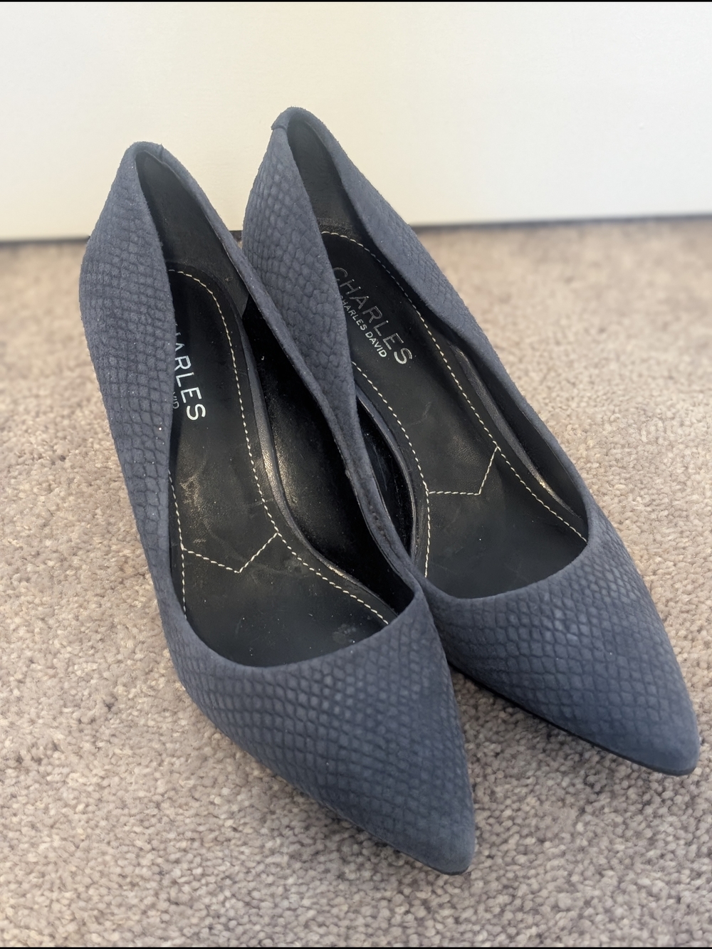 Charles By Charles David Textured Navy Pointed-Toe Pumps
